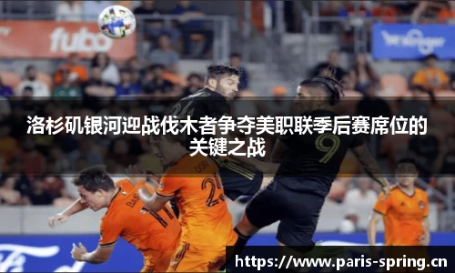 vsport体育官网入口