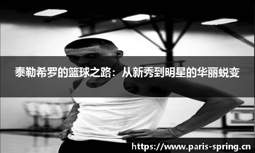 vsport体育官网入口